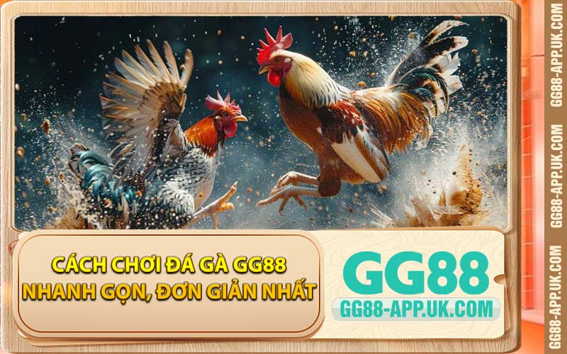 Cách Chơi Đá Gà GG88 Nhanh Gọn, Đơn Giản Nhất