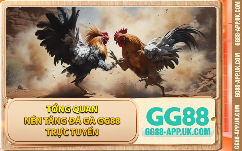 Tổng Quan Nền Tảng Đá Gà GG88 Trực Tuyến